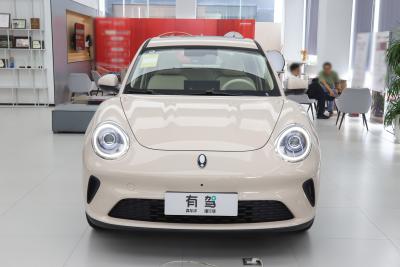 2025款 430km 豪华型-外观-图片-有驾