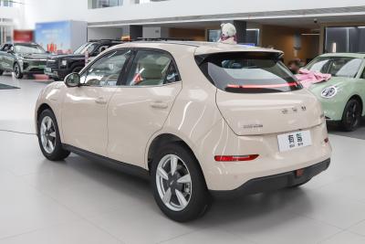 2025款 430km 豪华型-外观-图片-有驾