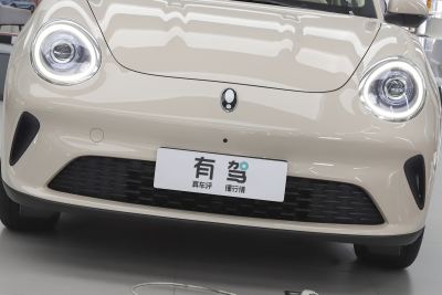 2025款 430km 豪华型-外观-图片-有驾