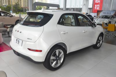 2025款 430km 豪华型-外观-图片-有驾 2025款 430km 豪华型-外观-图片-有驾