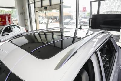 2026款 300TSI DSG两驱星光版-外观-图片-有驾