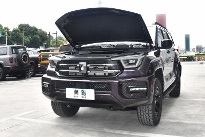 2026款 2.0T 汽油版-外观-图片-有驾