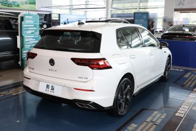 2024款 280TSI DSG R-Line 50年传奇版-外观-图片-有驾