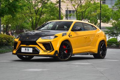 2021款 4.0T V8 标准版-外观-图片-有驾