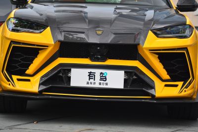 2021款 4.0T V8 标准版-外观-图片-有驾