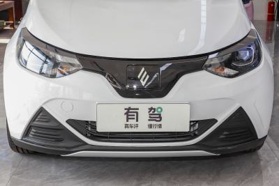 2023款 吉祥版 201km 豪华型-外观-图片-有驾