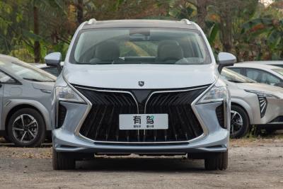 2024款 PHEV 基本型 7座-外观-图片-有驾
