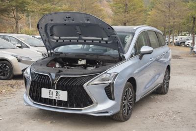 2024款 PHEV 基本型 7座-外观-图片-有驾
