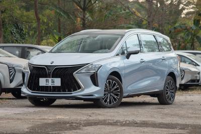 2024款 PHEV 基本型 7座-外观-图片-有驾