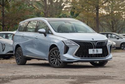 2024款 PHEV 基本型 7座-外观-图片-有驾