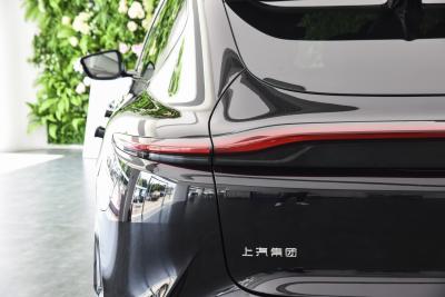 2023款 100kWh Pro四驱版-外观-图片-有驾