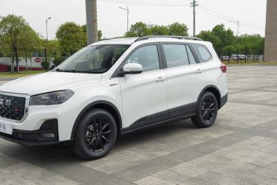 2022款 PRO 1.5T DCT豪华型 7座-外观-图片-有驾