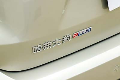2026款 2.0T 潮野版-外观-图片-有驾