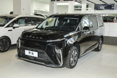 2024款 改款 超混 超长续航行政版 七座-外观-图片-有驾