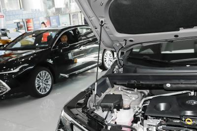 2026款 双擎 2.0L 两驱豪华版-外观-图片-有驾