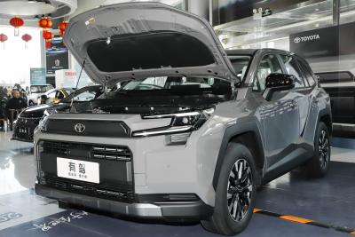 2026款 双擎 2.0L 两驱豪华版-外观-图片-有驾
