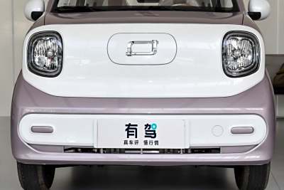 2026款 222km 伶俐马-外观-图片-有驾