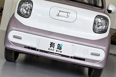 2026款 222km 伶俐马-外观-图片-有驾