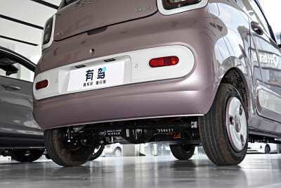 2026款 222km 伶俐马-外观-图片-有驾
