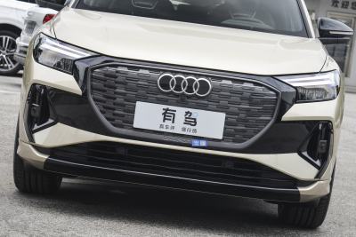 2024款 40 e-tron 冠军纪念版-外观-图片-有驾