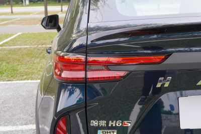 2022款 1.5T DHT智跑版-外观-图片-有驾