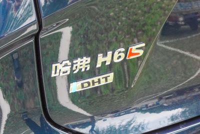 2022款 1.5T DHT智跑版-外观-图片-有驾