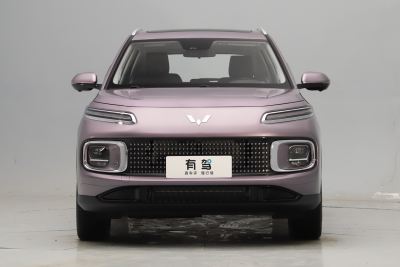 2023款 2.0L DHT 旗舰版-外观-图片-有驾