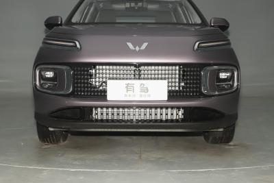 2023款 2.0L DHT 旗舰版-外观-图片-有驾