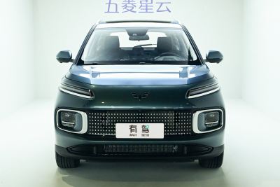 2023款 2.0L DHT 旗舰版-外观-图片-有驾