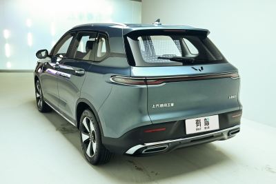 2023款 2.0L DHT 旗舰版-外观-图片-有驾