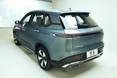 2023款 2.0L DHT 旗舰版-外观-图片-有驾