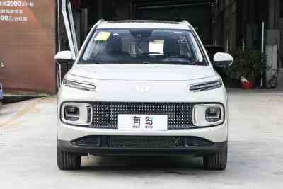 2023款 2.0L DHT 旗舰版-外观-图片-有驾