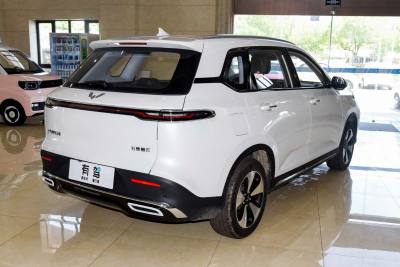 2023款 2.0L DHT 旗舰版-外观-图片-有驾