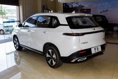 2023款 2.0L DHT 旗舰版-外观-图片-有驾