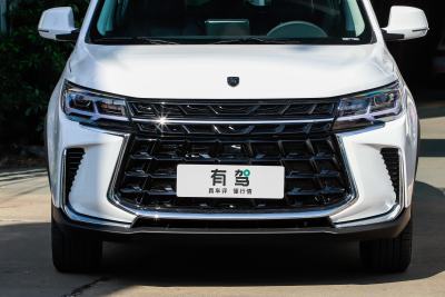 2024款 盛世款 1.6L 手动寻梦版 五座-外观-图片-有驾