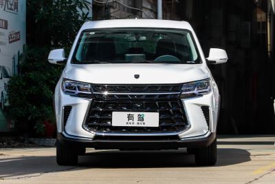 2024款 盛世款 1.6L 手动寻梦版 五座-外观-图片-有驾