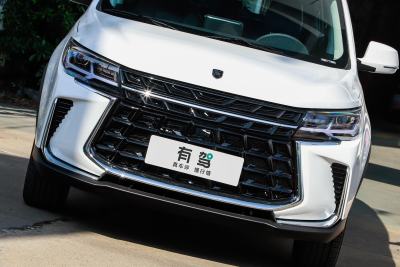 2024款 盛世款 1.6L 手动寻梦版 五座-外观-图片-有驾