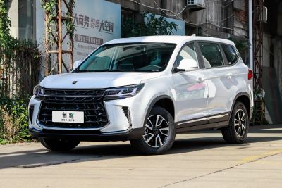 2024款 盛世款 1.6L 手动寻梦版 五座-外观-图片-有驾