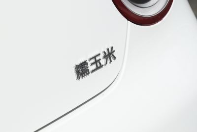 2025款 301km 蜜沁款-外观-图片-有驾