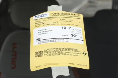 2025款 301km 蜜沁款-外观-图片-有驾