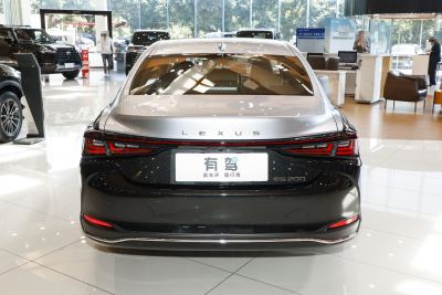 2026款 200 月影双色特别版-外观-图片-有驾