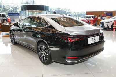 2026款 200 月影双色特别版-外观-图片-有驾