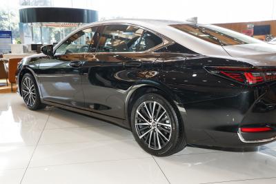 2026款 200 月影双色特别版-外观-图片-有驾