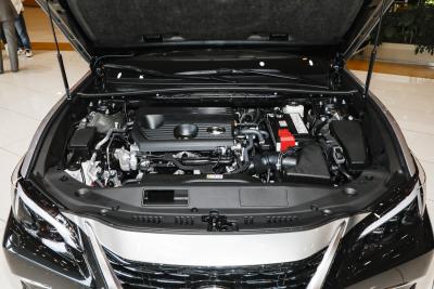 2026款 200 月影双色特别版-外观-图片-有驾