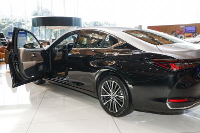 2026款 200 月影双色特别版-外观-图片-有驾