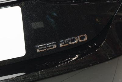 2026款 200 月影双色特别版-外观-图片-有驾