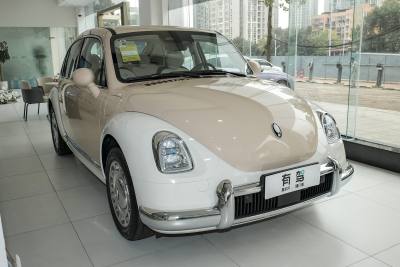 2023款 401km 豪华型-外观-图片-有驾