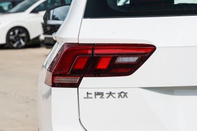 2025款 300TSI 自动两驱龙腾版-外观-图片-有驾