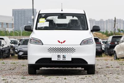 2025款 增程式混动 50KM 标准型-外观-图片-有驾