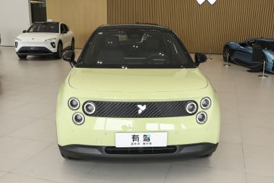 2025款 自在版-外观-图片-有驾